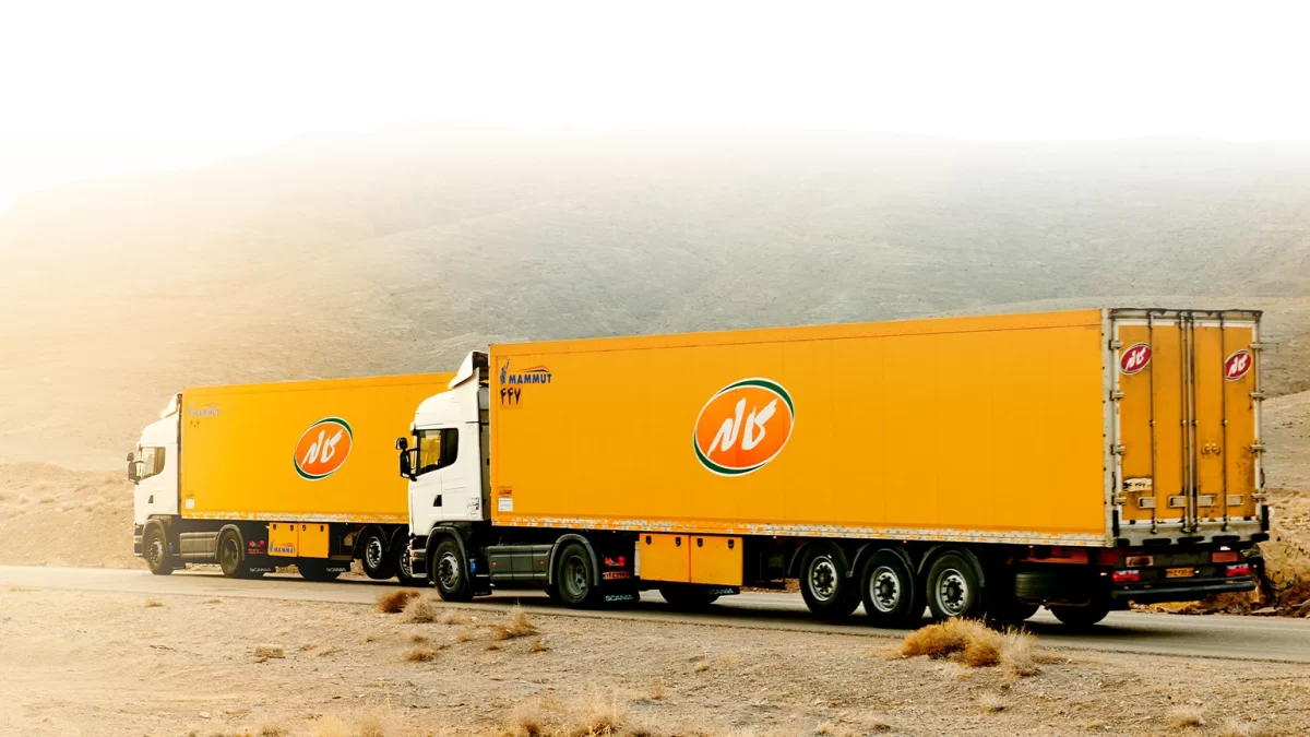 چگونه بهترین شرکت حمل و پخش مویرگی را انتخاب کنیم