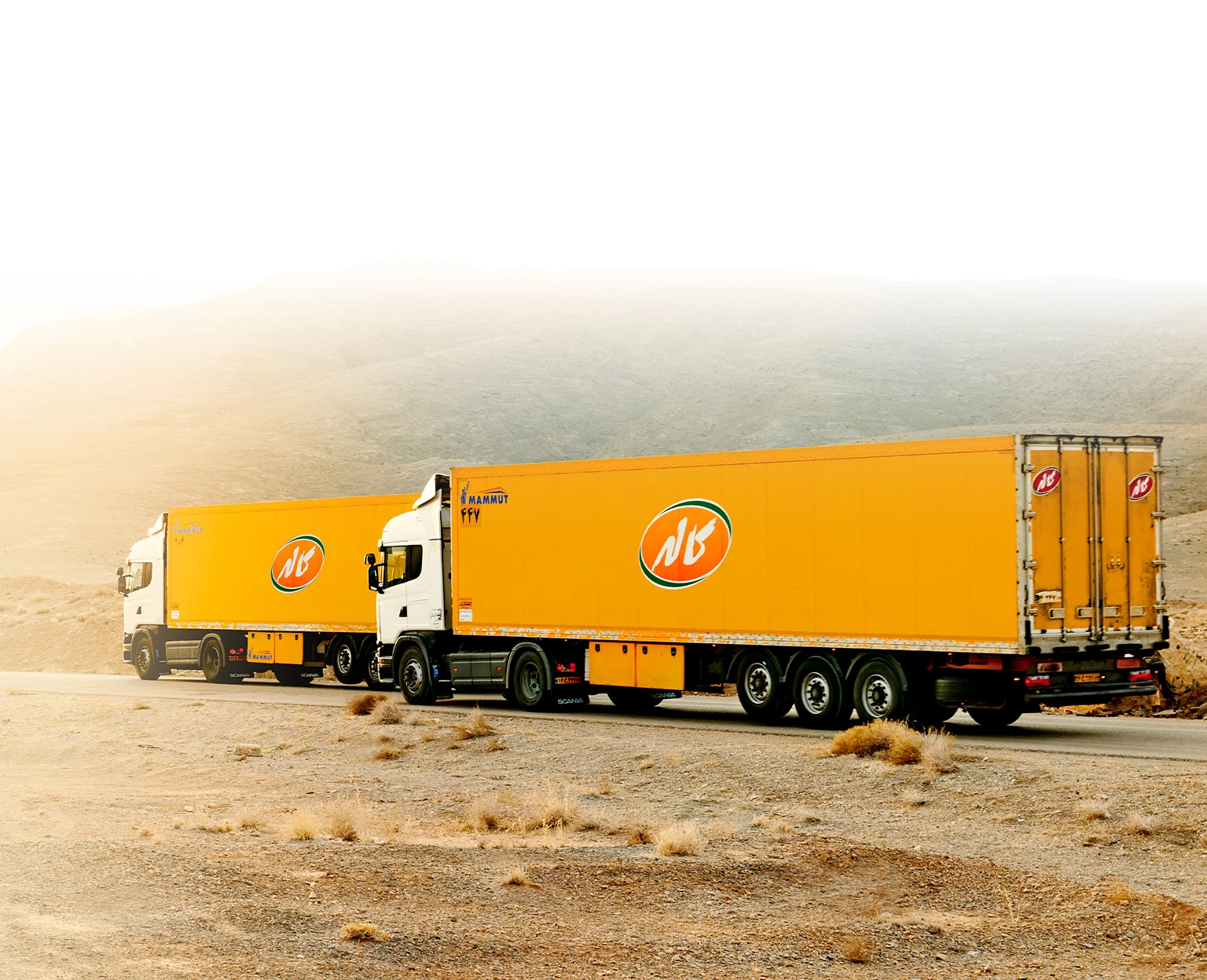 چگونه بهترین شرکت حمل و پخش مویرگی را انتخاب کنیم